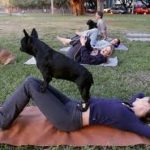 How Exercising With a Pet Can Help Motivate You
